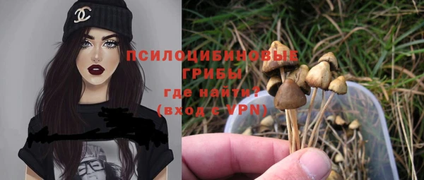 spice Снежинск