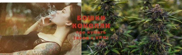 гидра Горняк