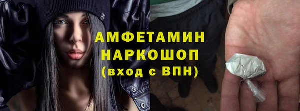 PSILOCYBIN Дмитриев