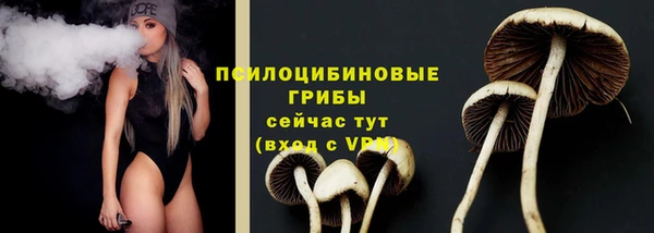 apvp Слюдянка