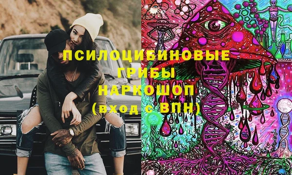 PSILOCYBIN Дмитриев
