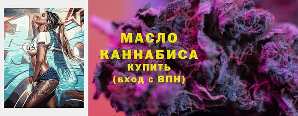 гидра Горняк