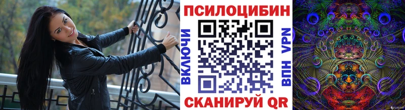 Псилоцибиновые грибы мухоморы  где купить наркотик  Дагестанские Огни 